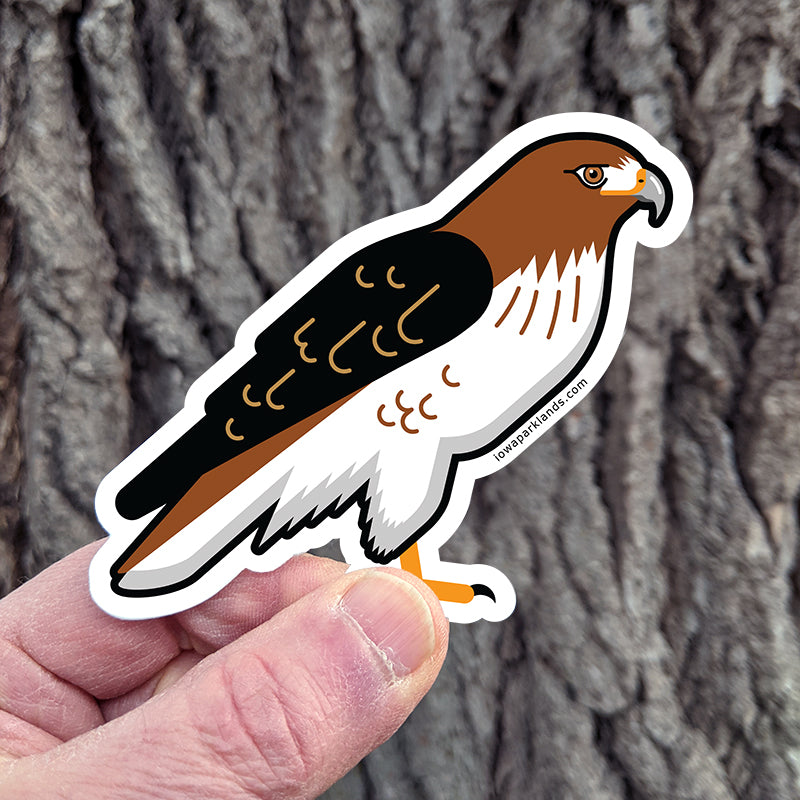 Red Tailed Hawk Sticker