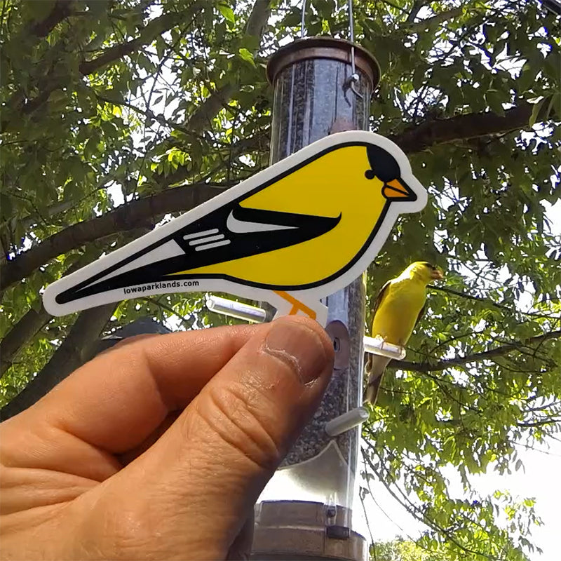 American Goldfinch Sticker