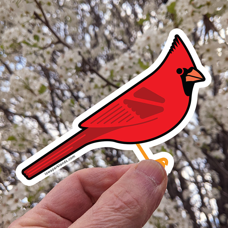 Northern Cardinal Sticker