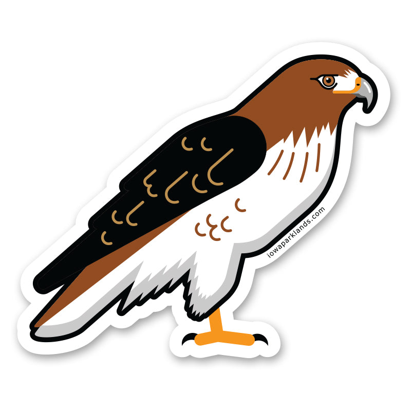 Red Tailed Hawk Sticker